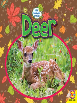 cover image of Deer